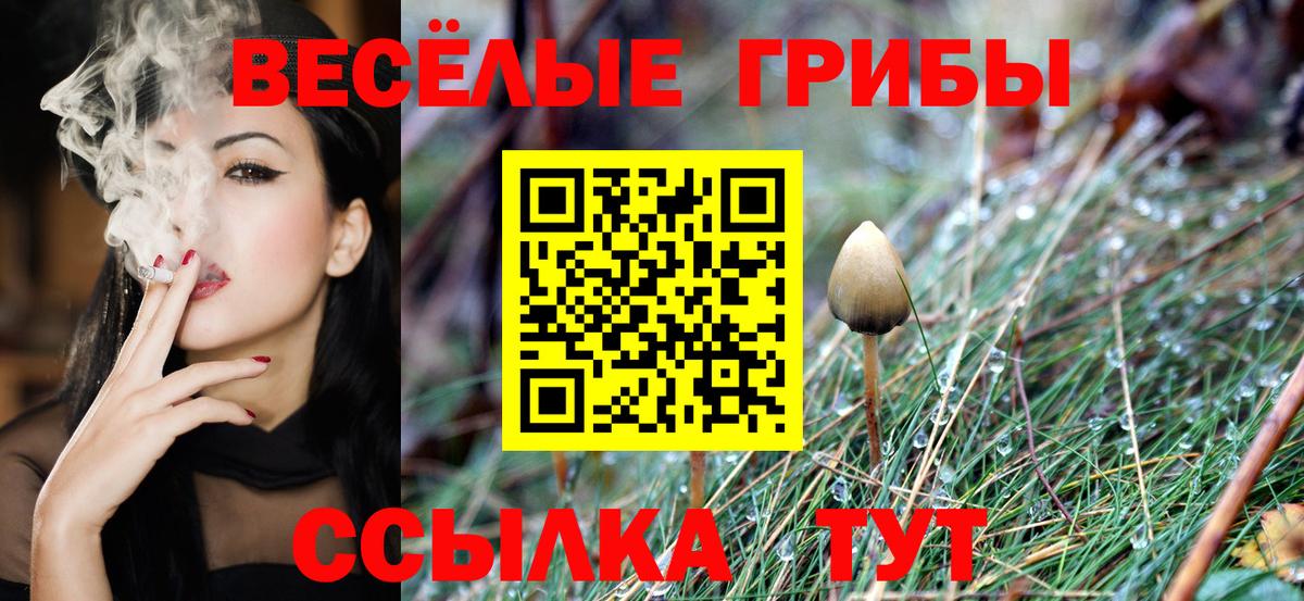 Галлюциногенные грибы GOLDEN TEACHER Долгопрудный