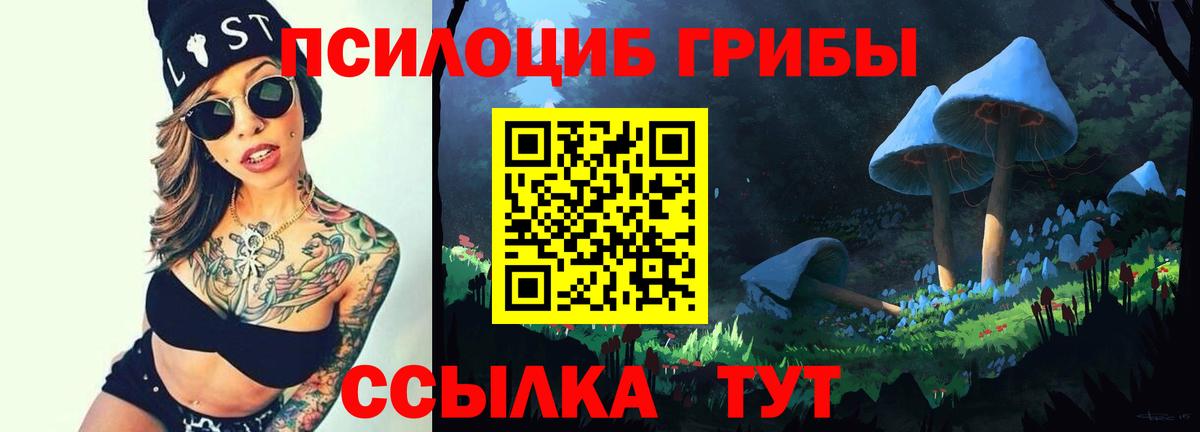Псилоцибиновые грибы Cubensis  Вход с VPN  Долгопрудный 